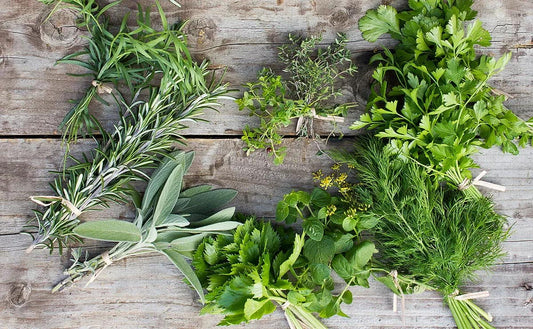Les 8 Plantes Incontournables pour la Cuisine Italienne : Herbes et Aromates Essentiels