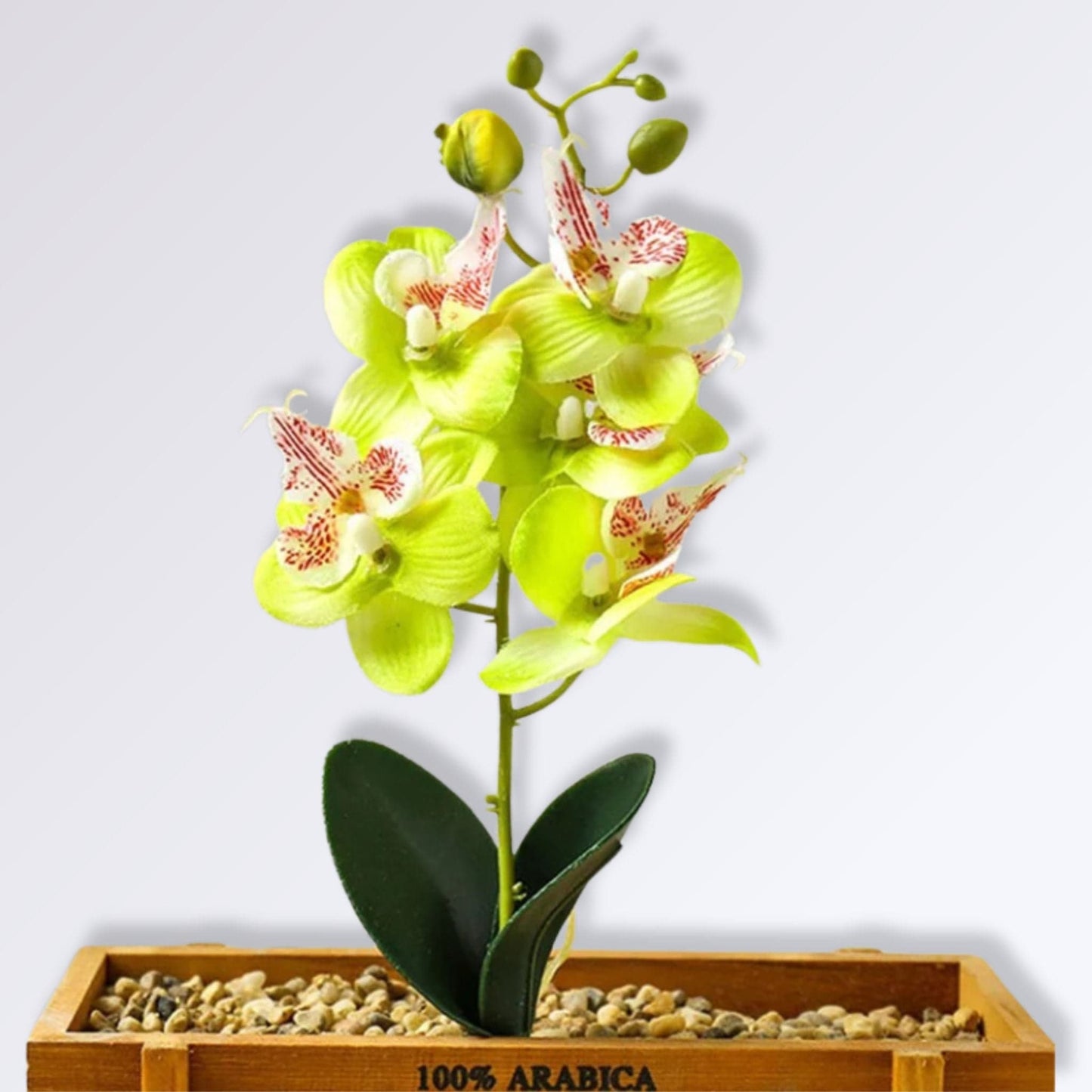 Branche d'Orchidée Artificielle Couleur Vert pomme