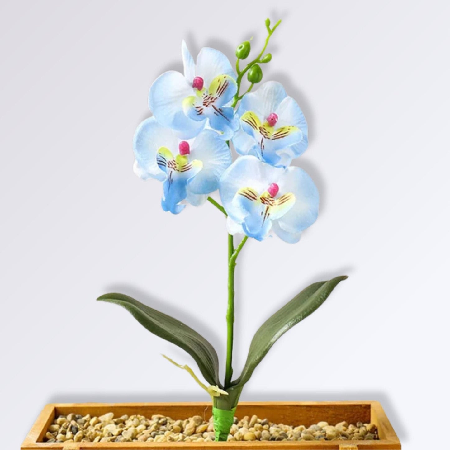 Branche d'Orchidée Artificielle Couleur Bleu ciel
