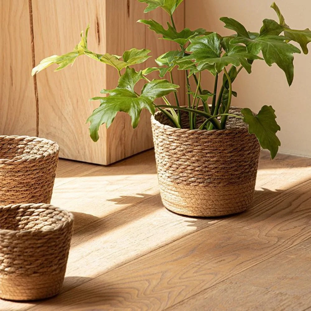 Cache-Pot En Jonc de Mer