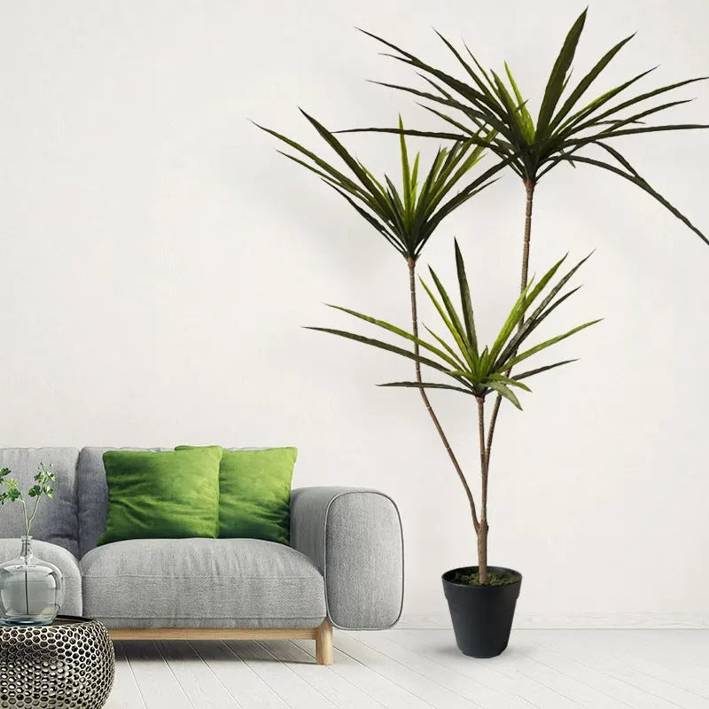 Dracaena Artificiel