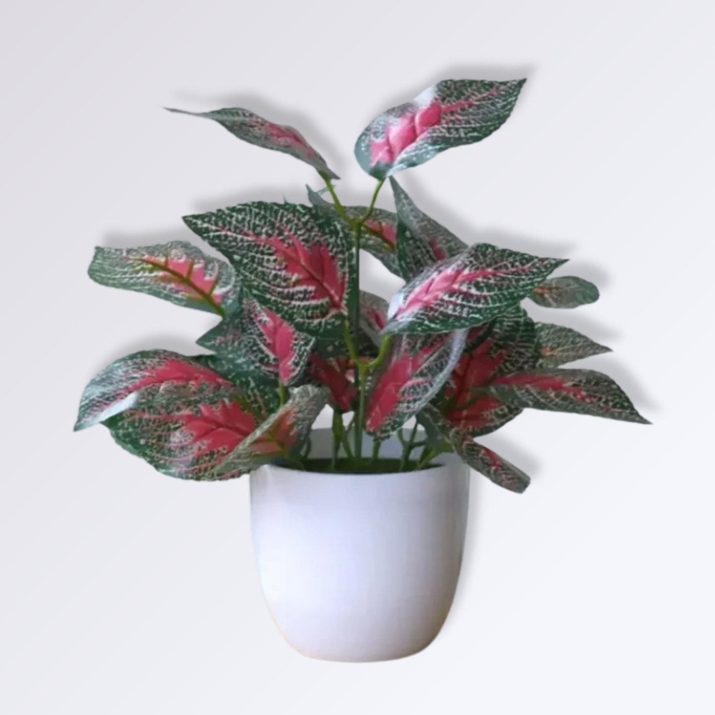 Fausse Petite Plante en Pot | rouge