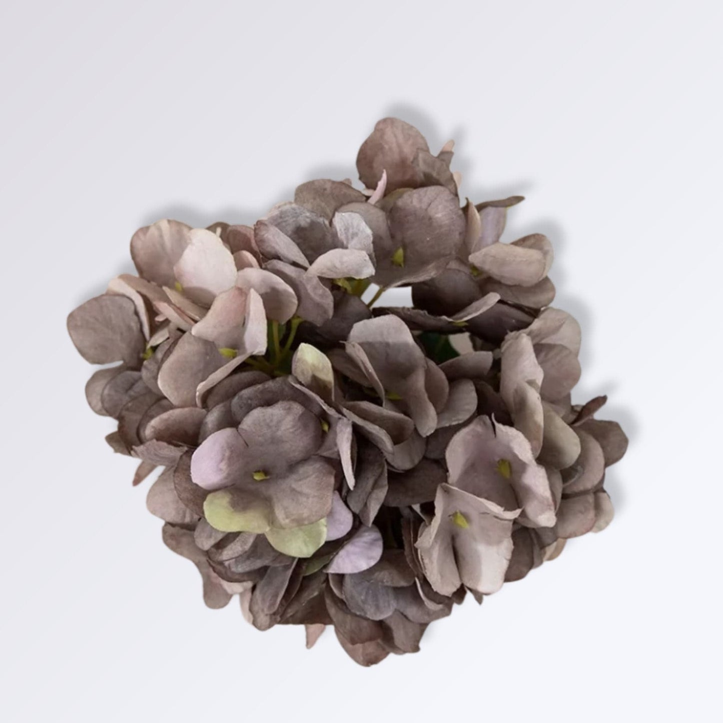 Fleur d'Hortensia Artificielle Couleur Gris