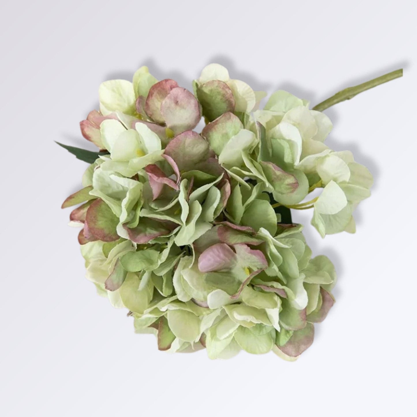 Fleur d'Hortensia Artificielle Couleur Vert