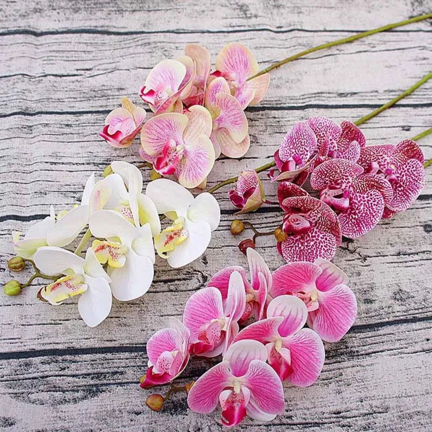 Fleurs d'Orchidées Artificielles Réalistes