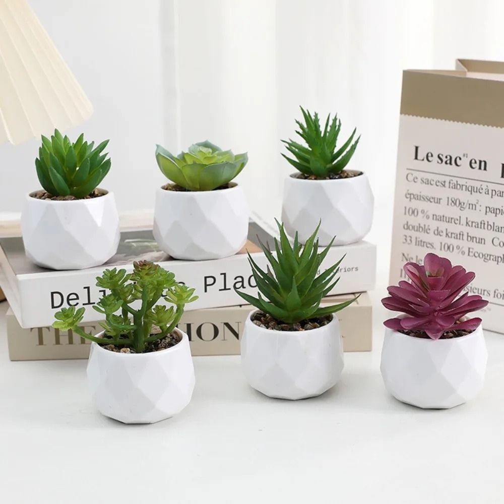 Mini Succulente Artificielle en Pot