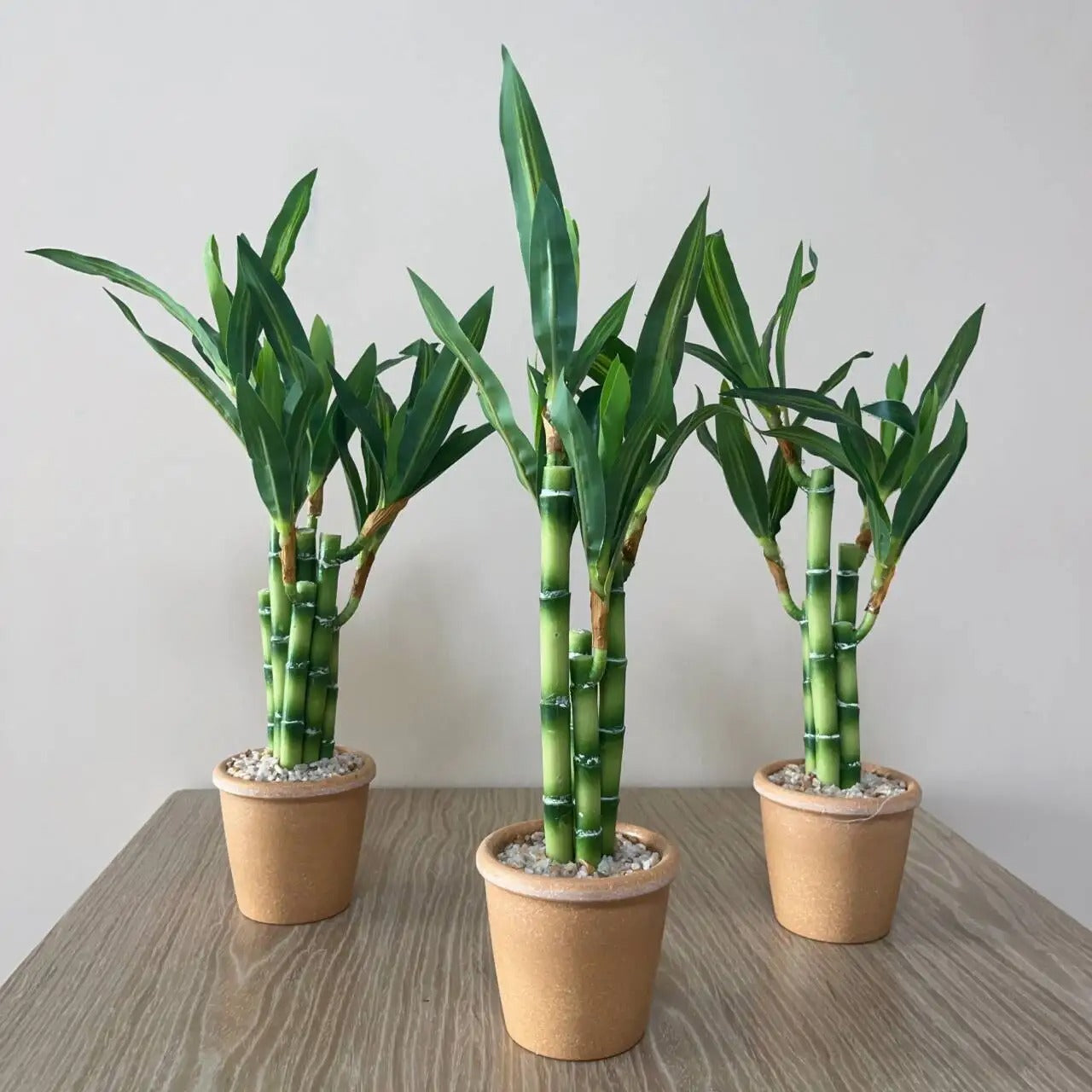 Petit Bambou Artificiel en Pot