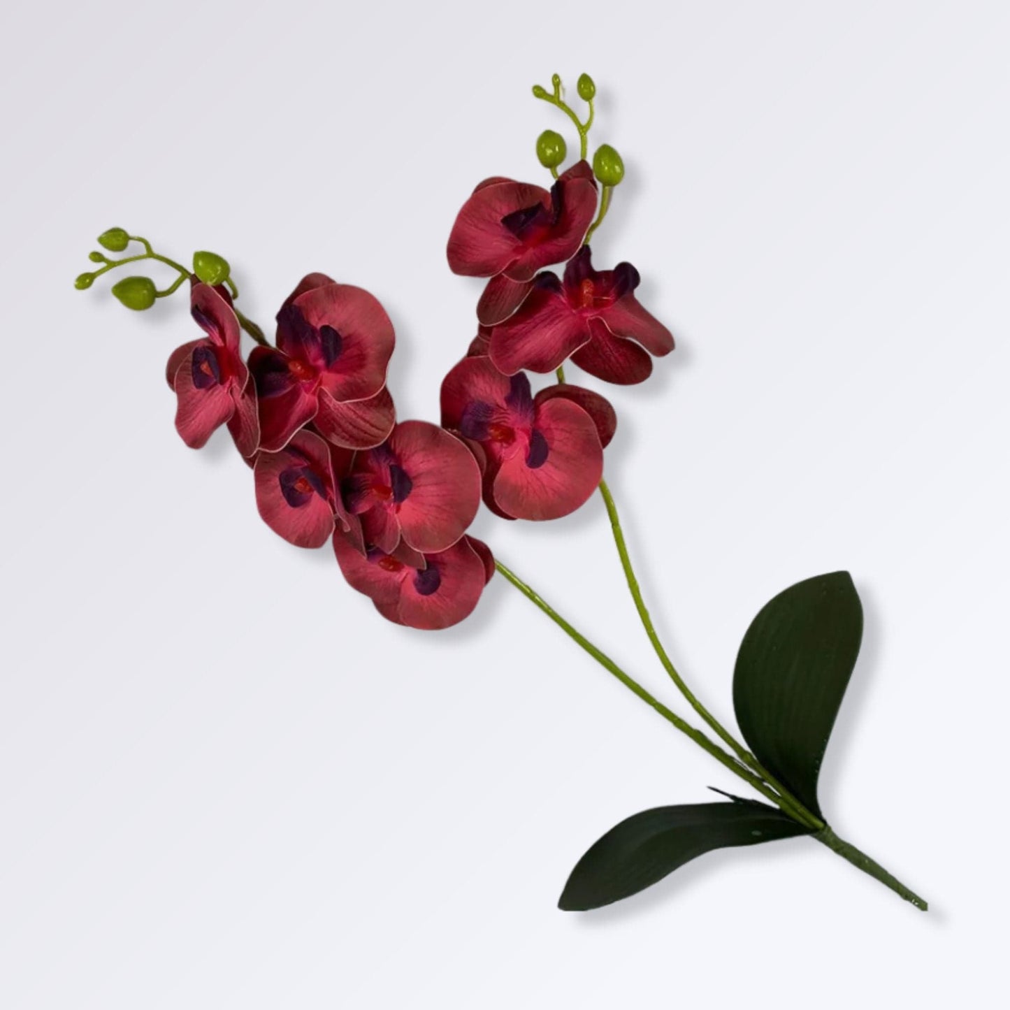 Plante Artificielle Orchidée sur Tige Couleur Rouge foncé