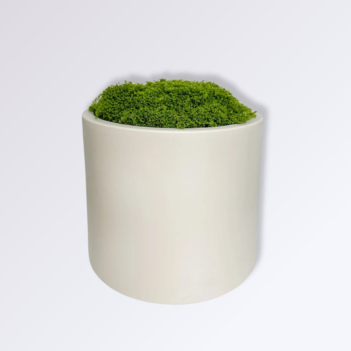 Pot de Mousse Artificielle Couleur Blanc Cassé