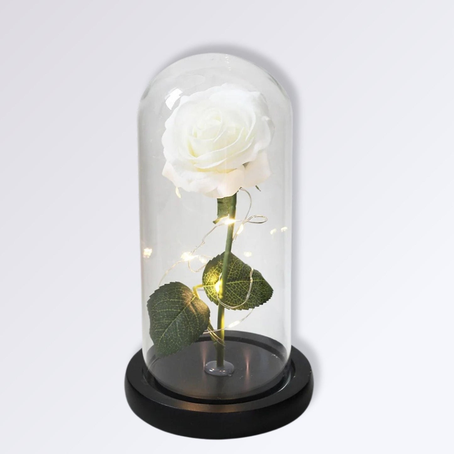 Rose Éternelle Sous Cloche | Socle Noir | Blanc