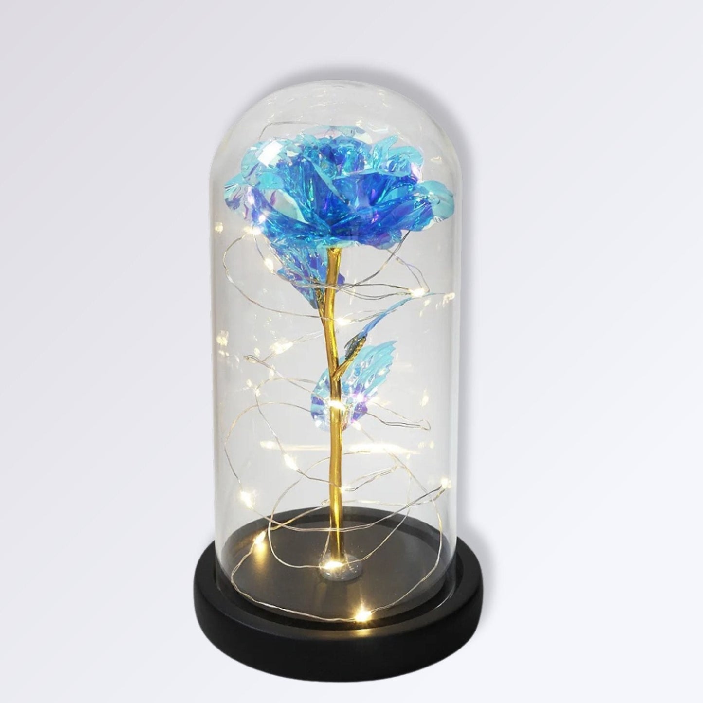 Rose Éternelle Sous Cloche | Socle Noir | Bleu