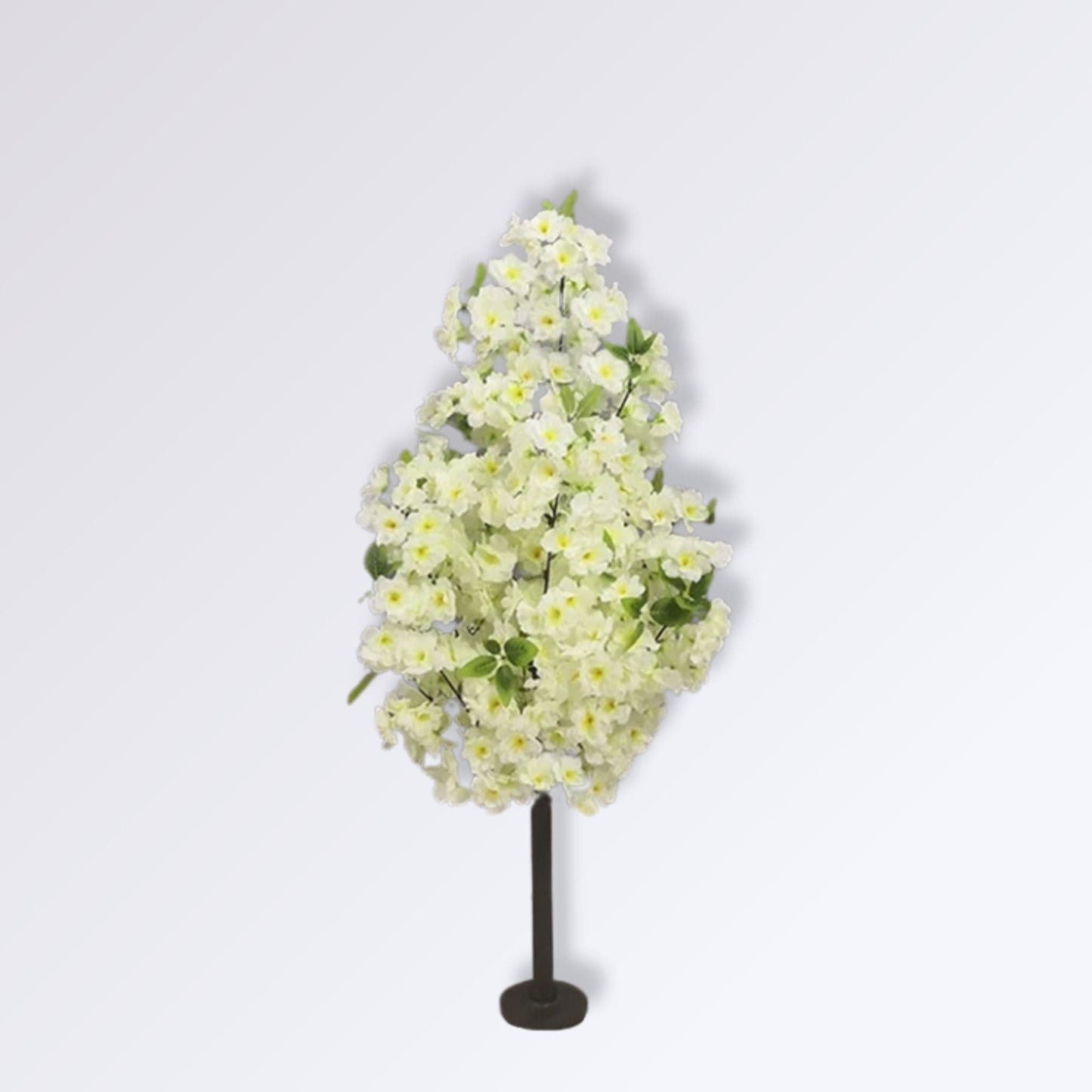Arbre Cerisier Japonais Blanc