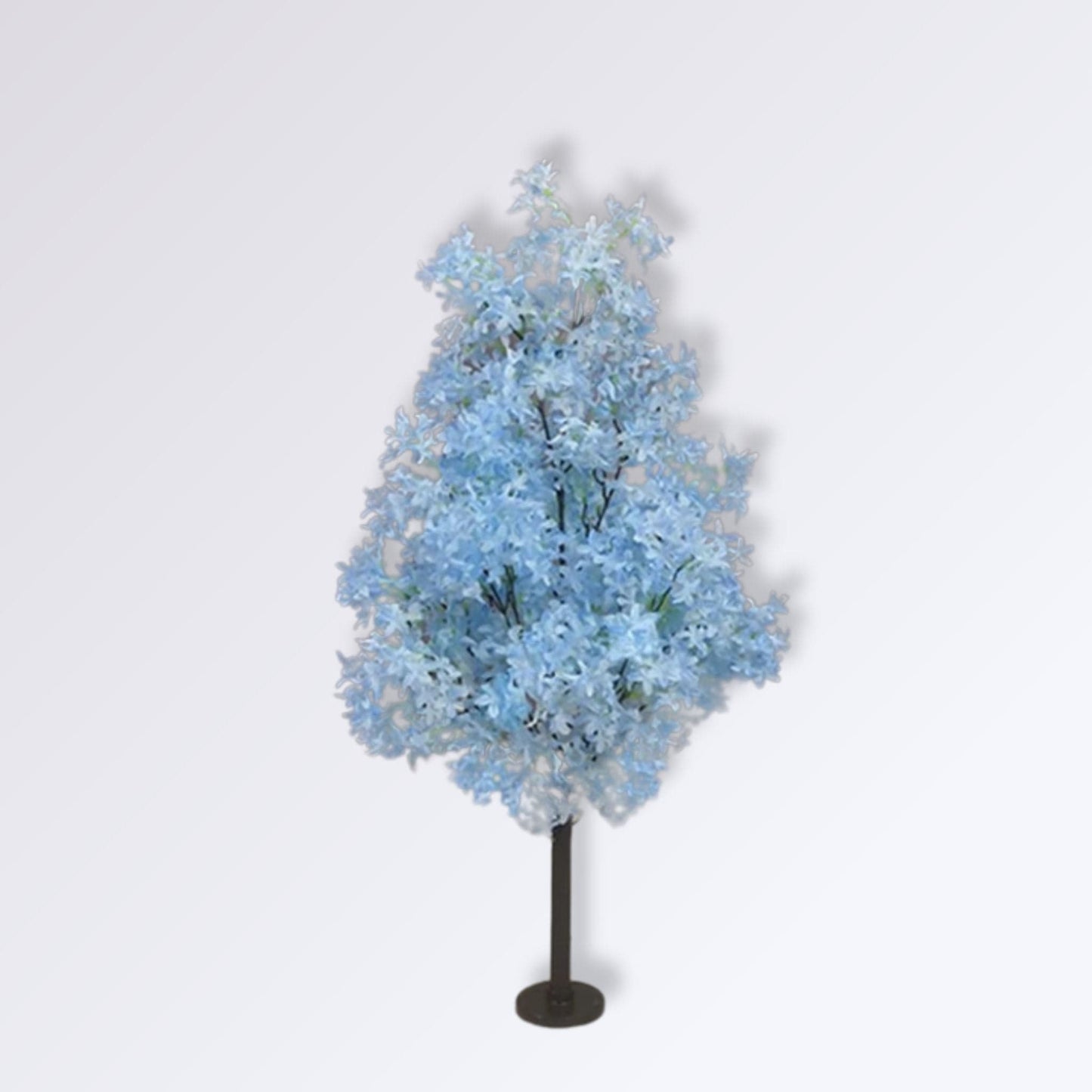 Arbre Cerisier Japonais Bleu