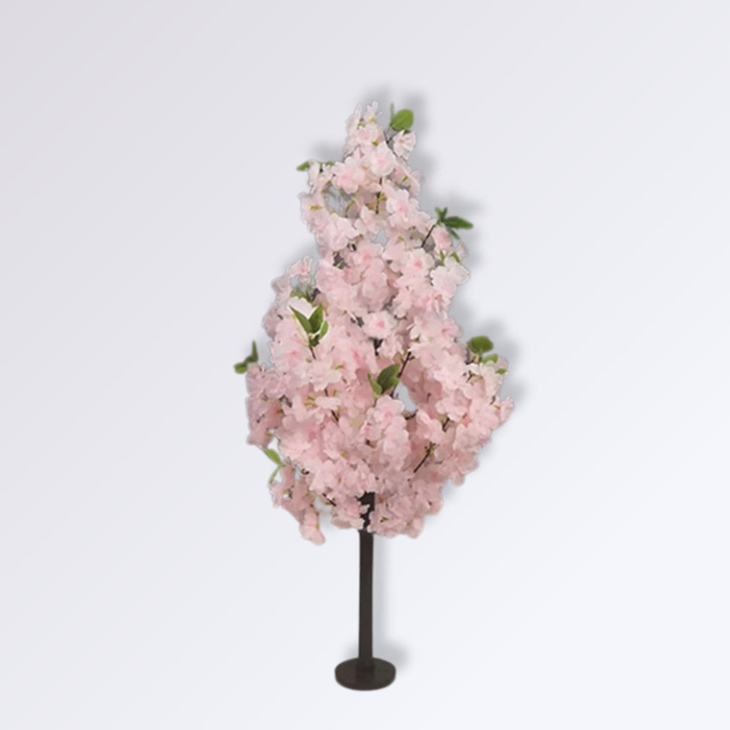Arbre Cerisier Japonais Rose clair