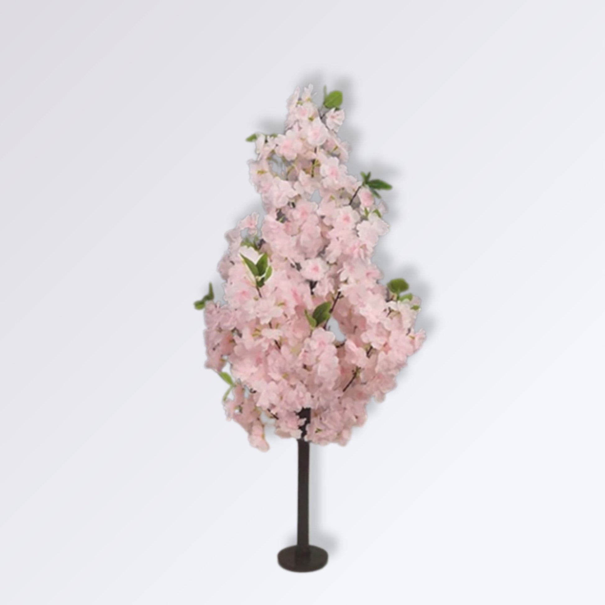 Arbre Cerisier Japonais Rose clair