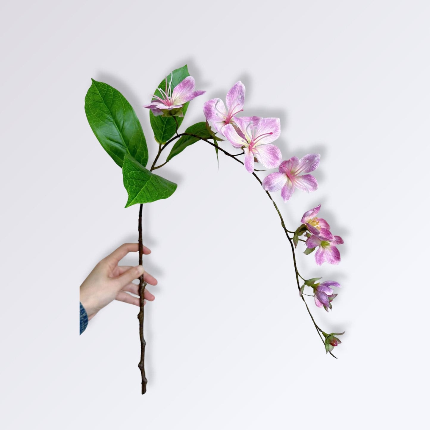 Jasmin | Perles Vertes Rose