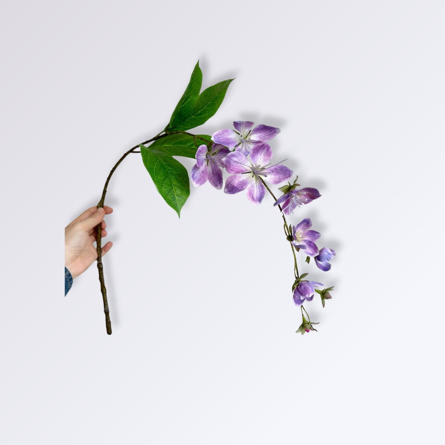 Jasmin | Perles Vertes Violet