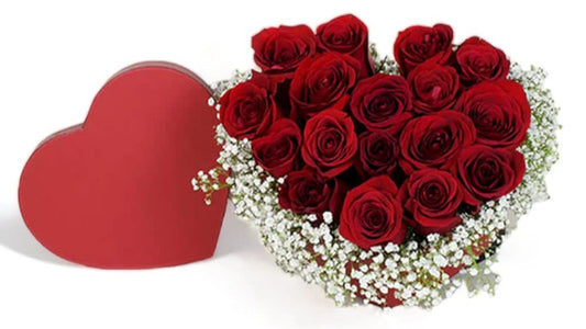 Combien de rose offrir à la Saint Valentin ? Le guide complet pour faire passer le bon message