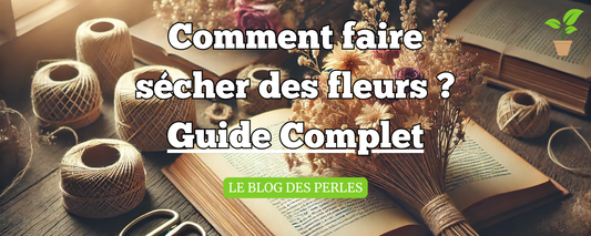 Comment faire sécher des fleurs