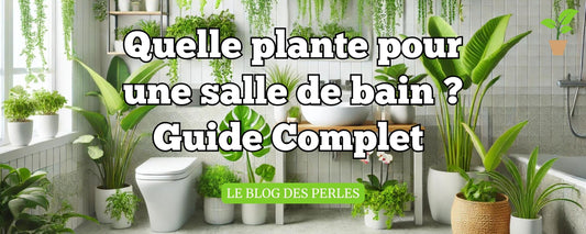 Quelle plante pour salle de bain 