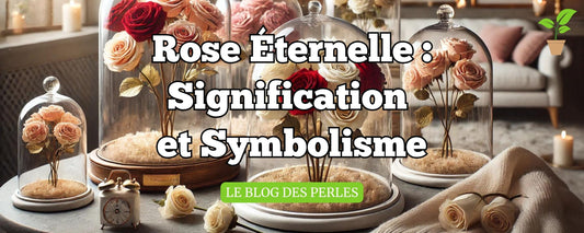 Rose Éternelle  Signification et Symbolisme