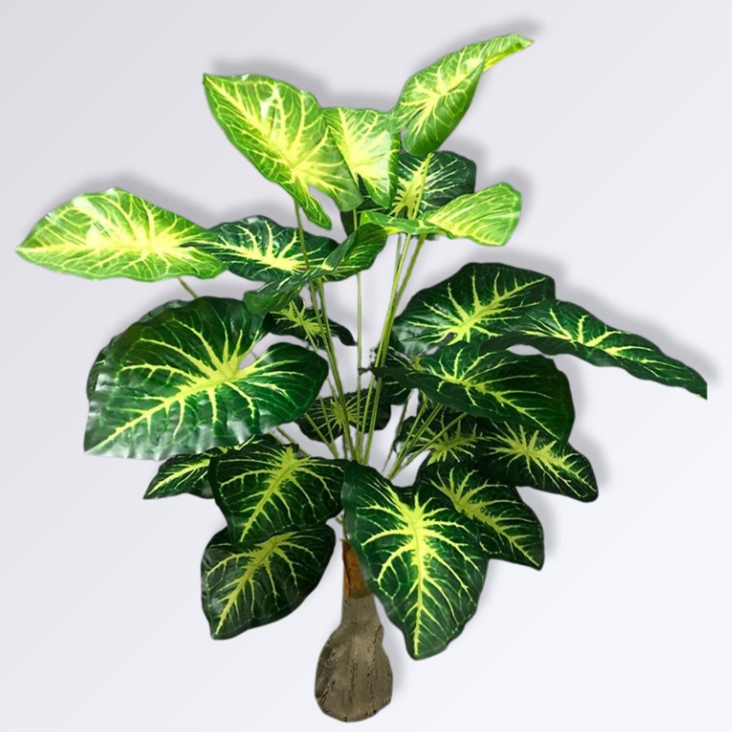 Alocasia artificiel