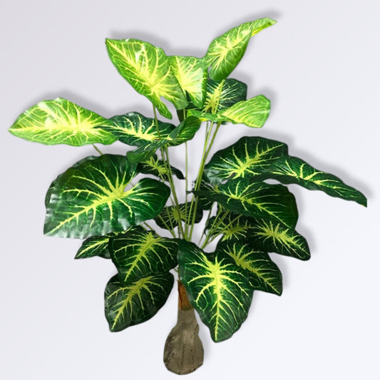 Alocasia artificiel