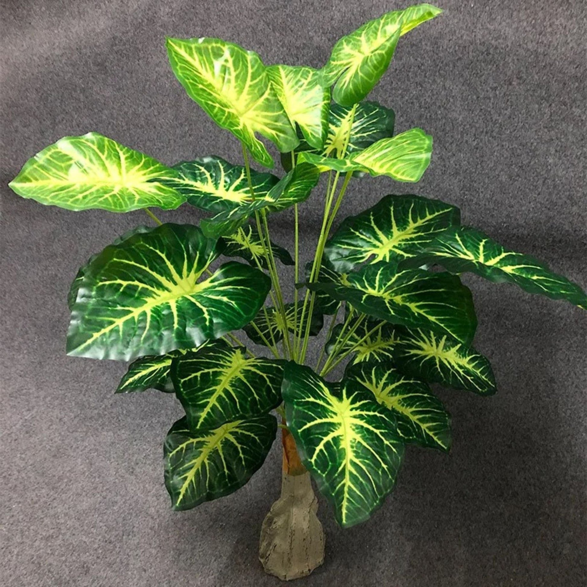 Alocasia artificiel