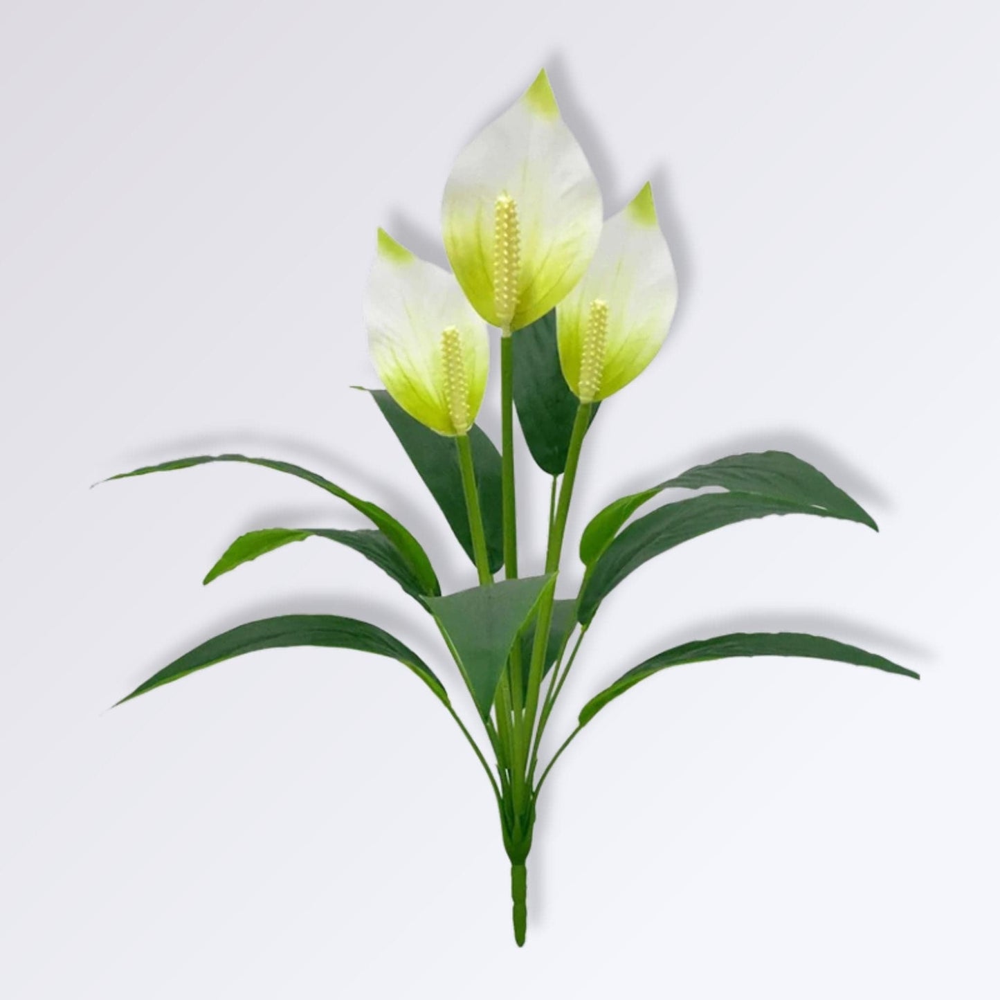 Anthurium Artificiel Blanc 