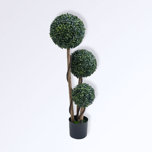 Arbuste Boules de Buis Topiaire en Pot