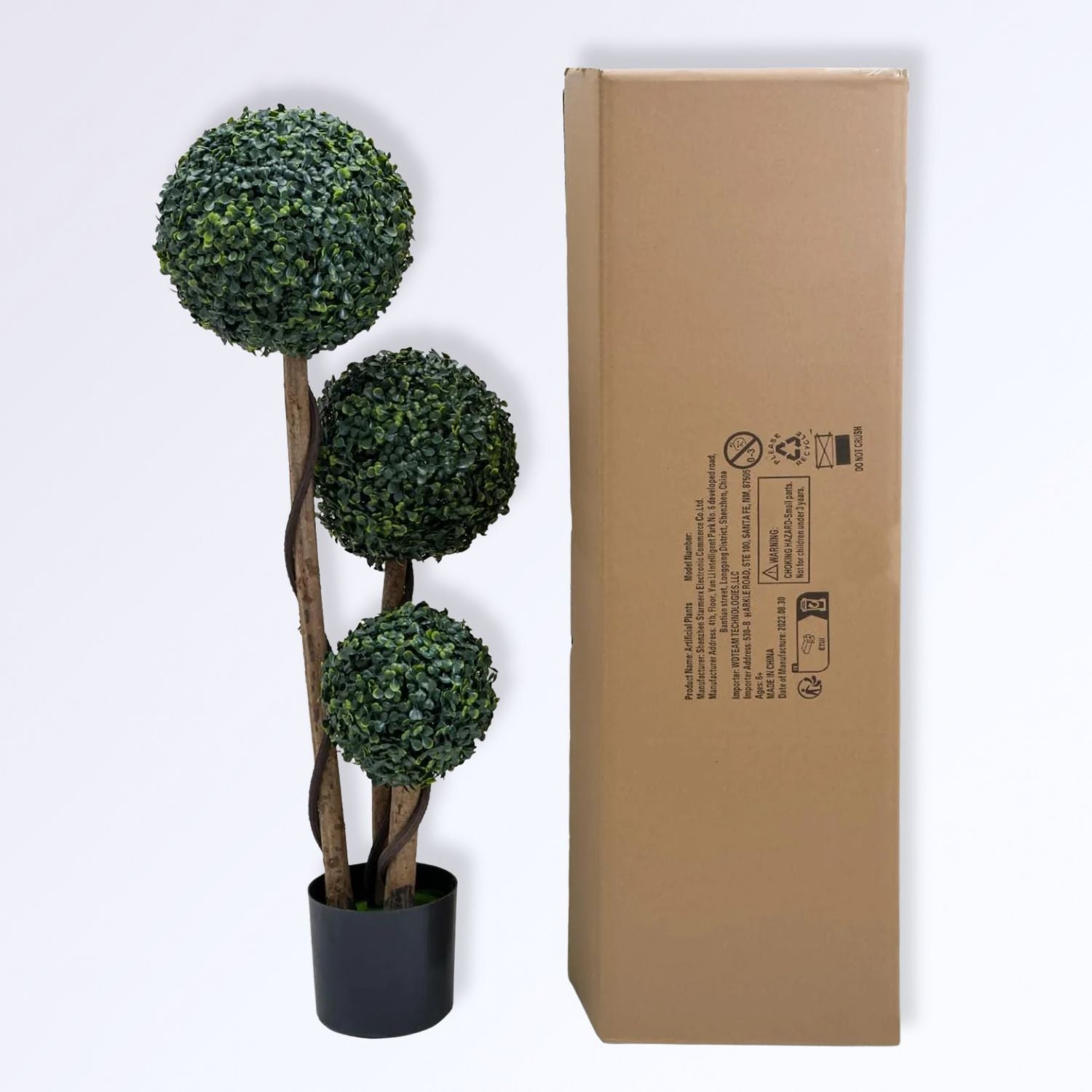 Arbuste Boules de Buis Topiaire en Pot