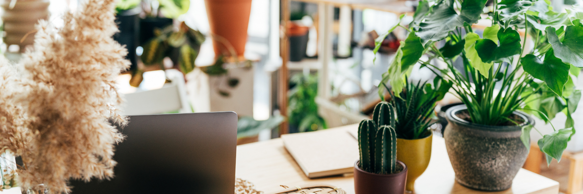 Boutique n°1 sur les Plantes et Fleurs Artificielles