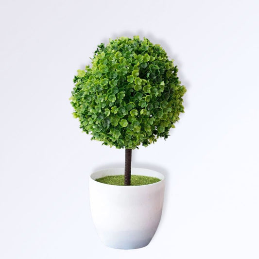 Boule de Buis sur Tige Artificielle avec Pot Couleur Vert
