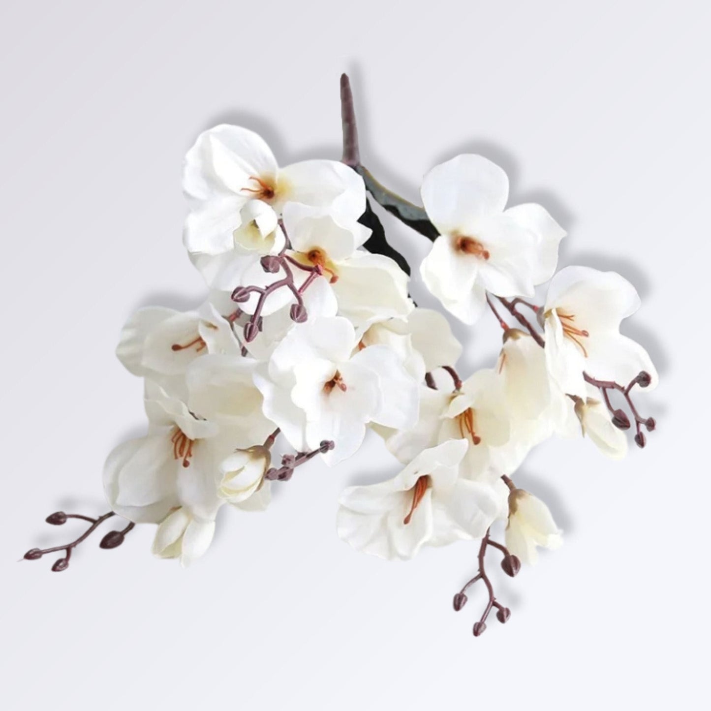 Bouquet d’Orchidée Artificielle Couleur Blanc