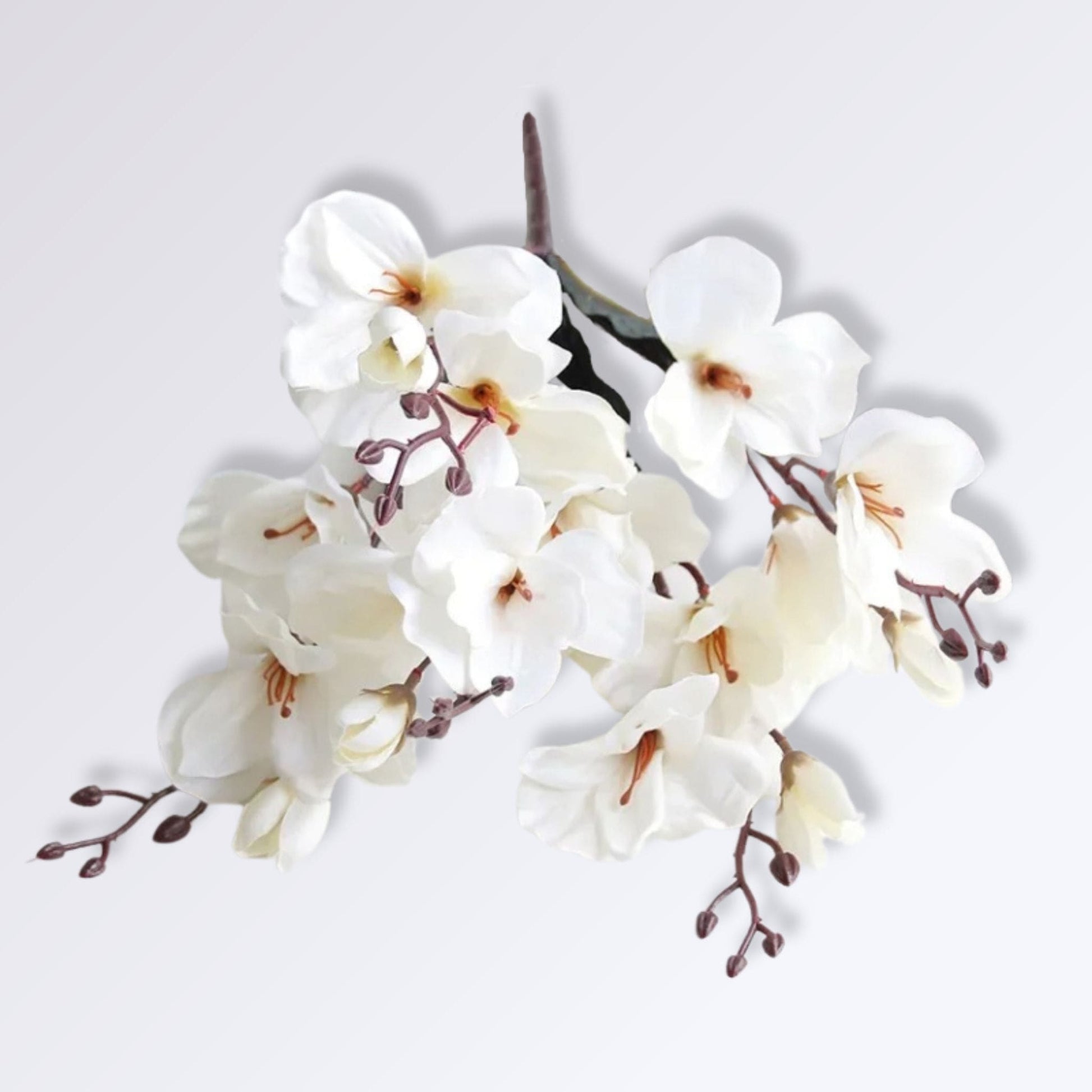 Bouquet d’Orchidée Artificielle Couleur Blanc