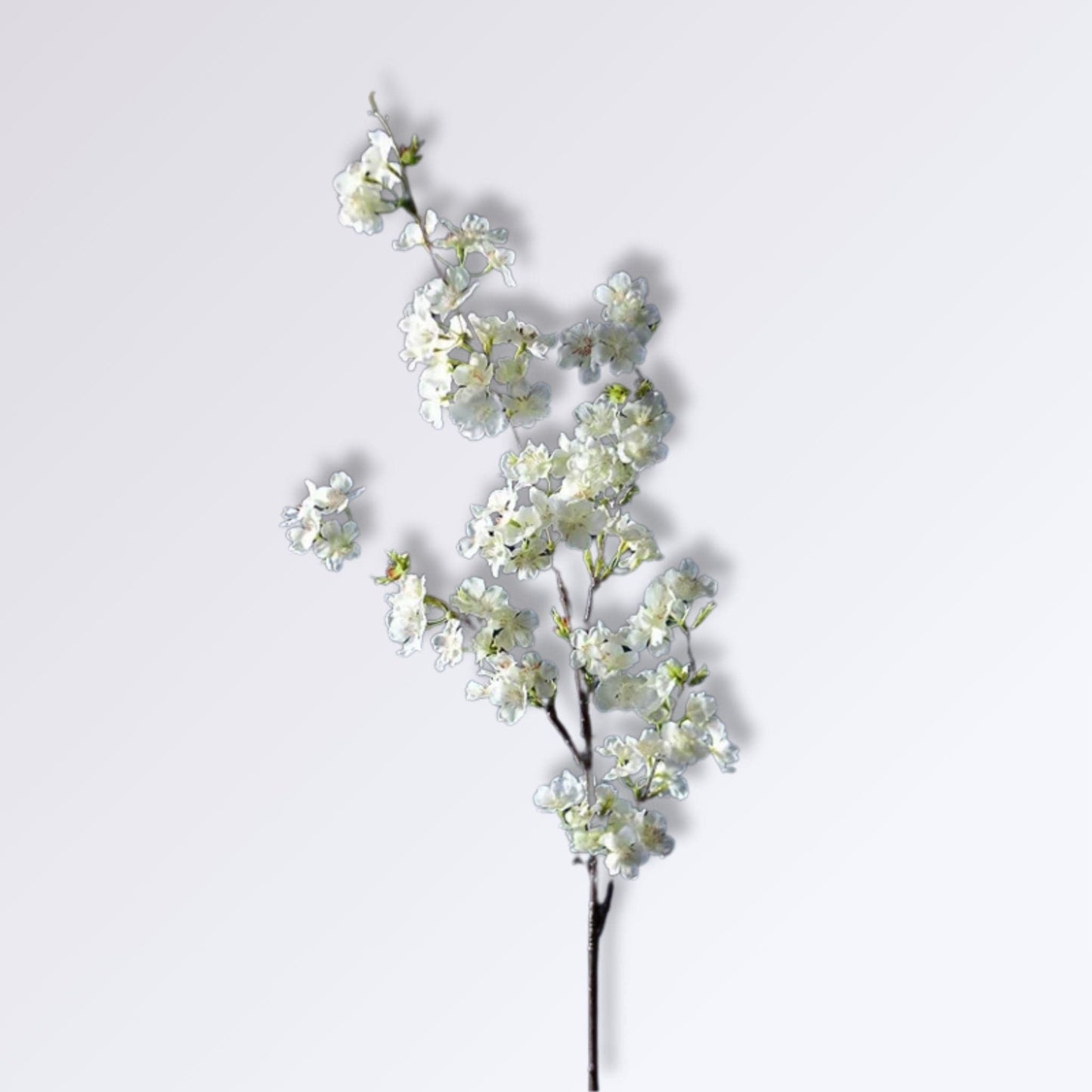 Branche De Cerisier Artificielle | blanc