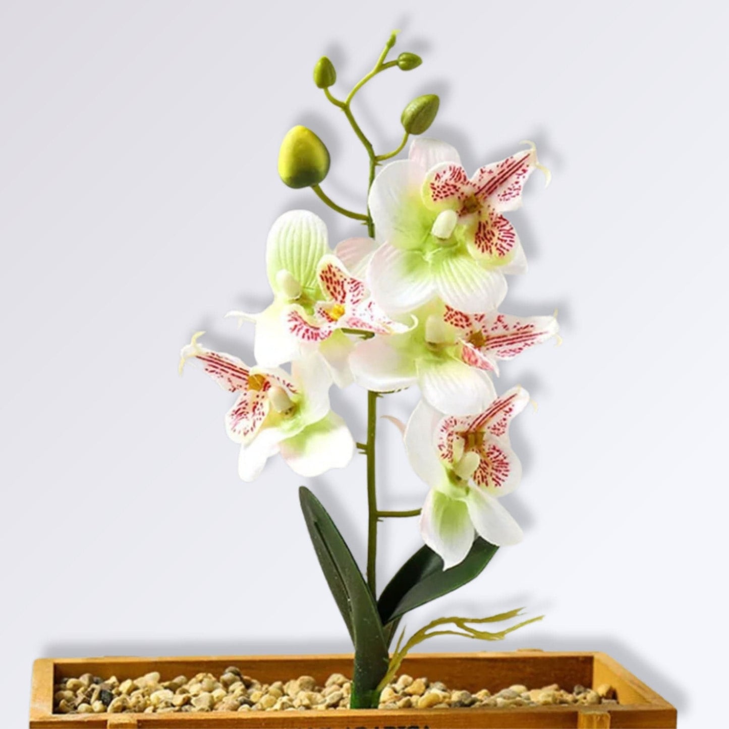 Branche d'Orchidée Artificielle Couleur Blanc vert