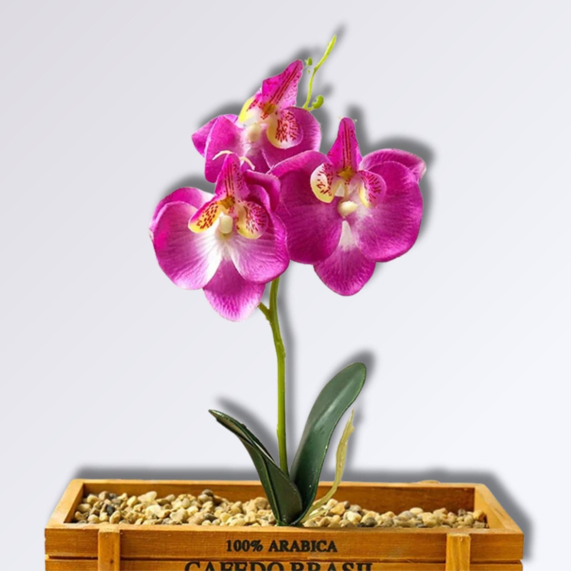 Branche d'Orchidée Artificielle Couleur Mauve