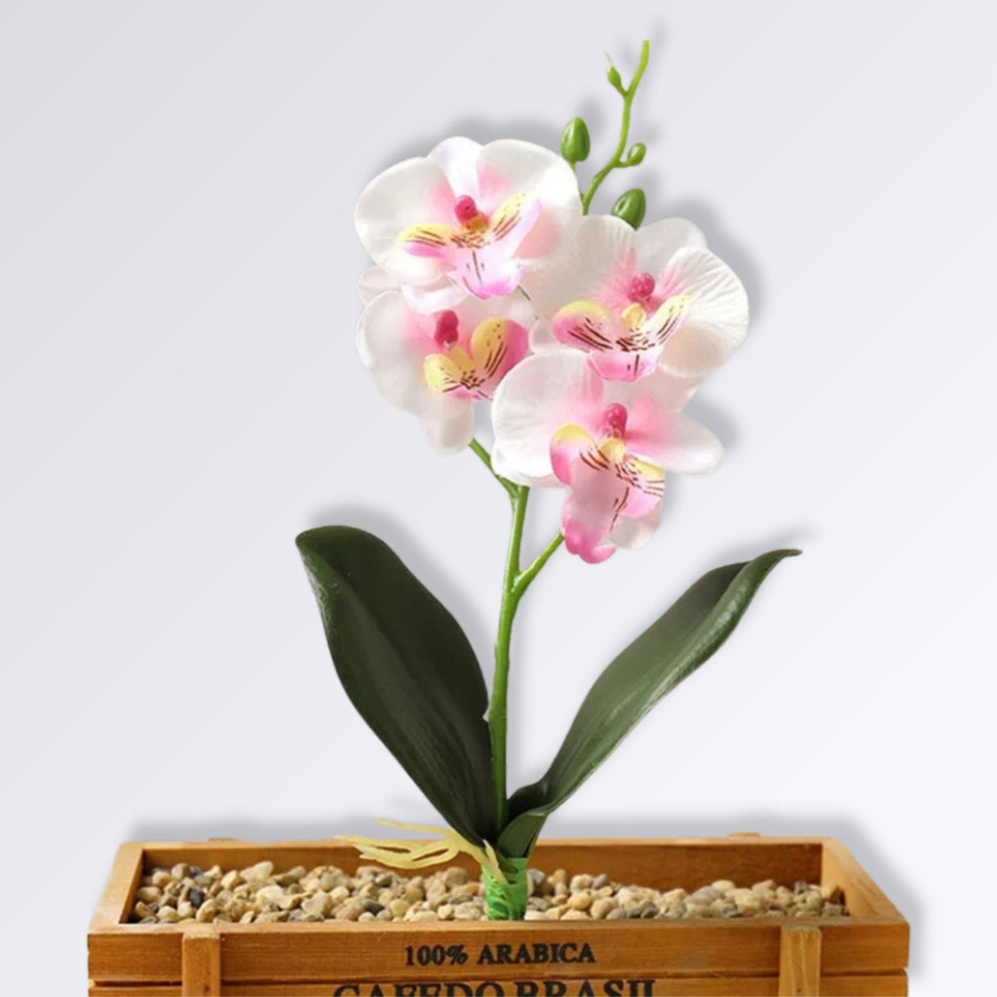 Branche d'Orchidée Artificielle Couleur Blanc rose