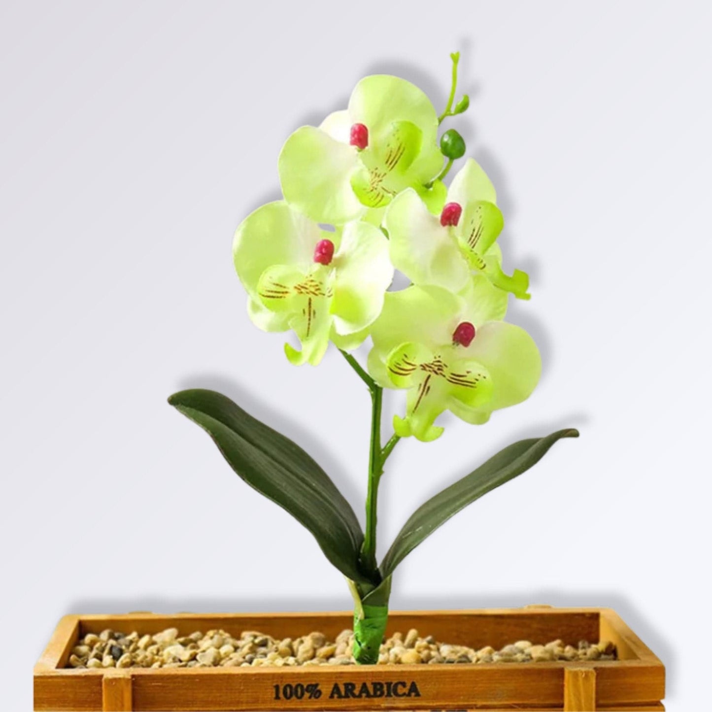 Branche d'Orchidée Artificielle Couleur Vert pomme