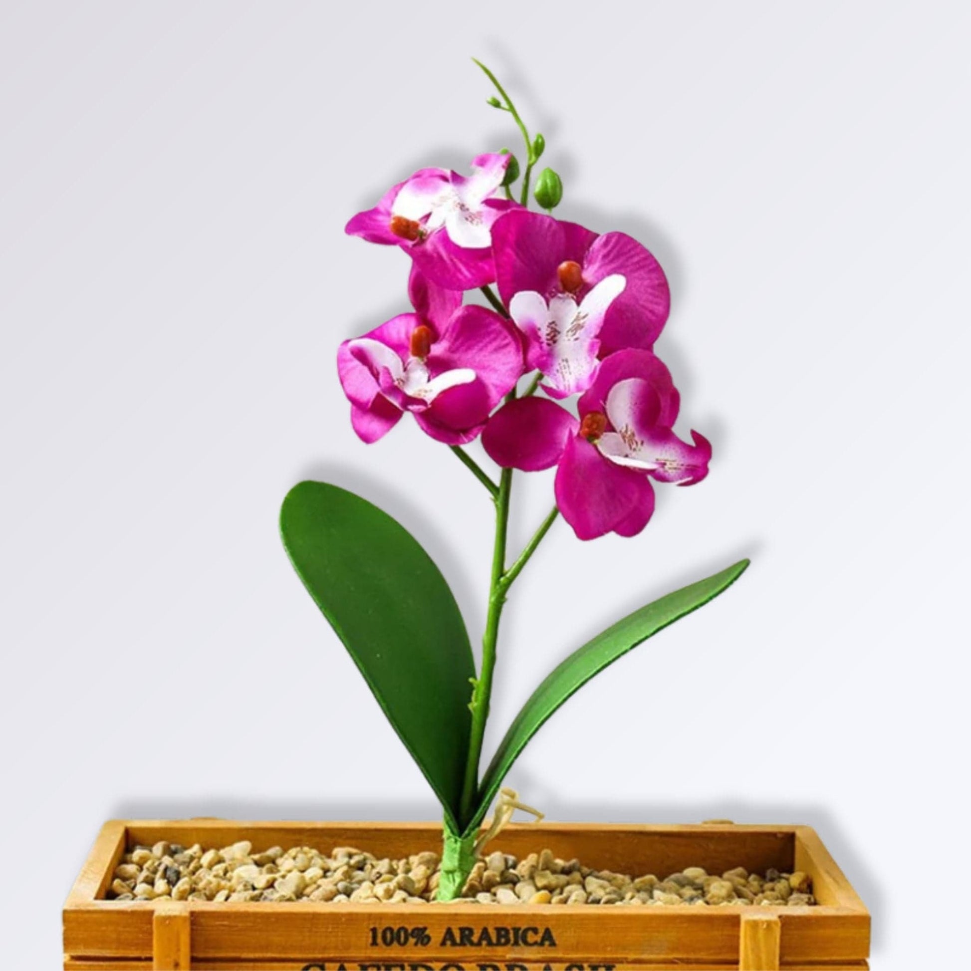 Branche d'Orchidée Artificielle Couleur Violet blanc