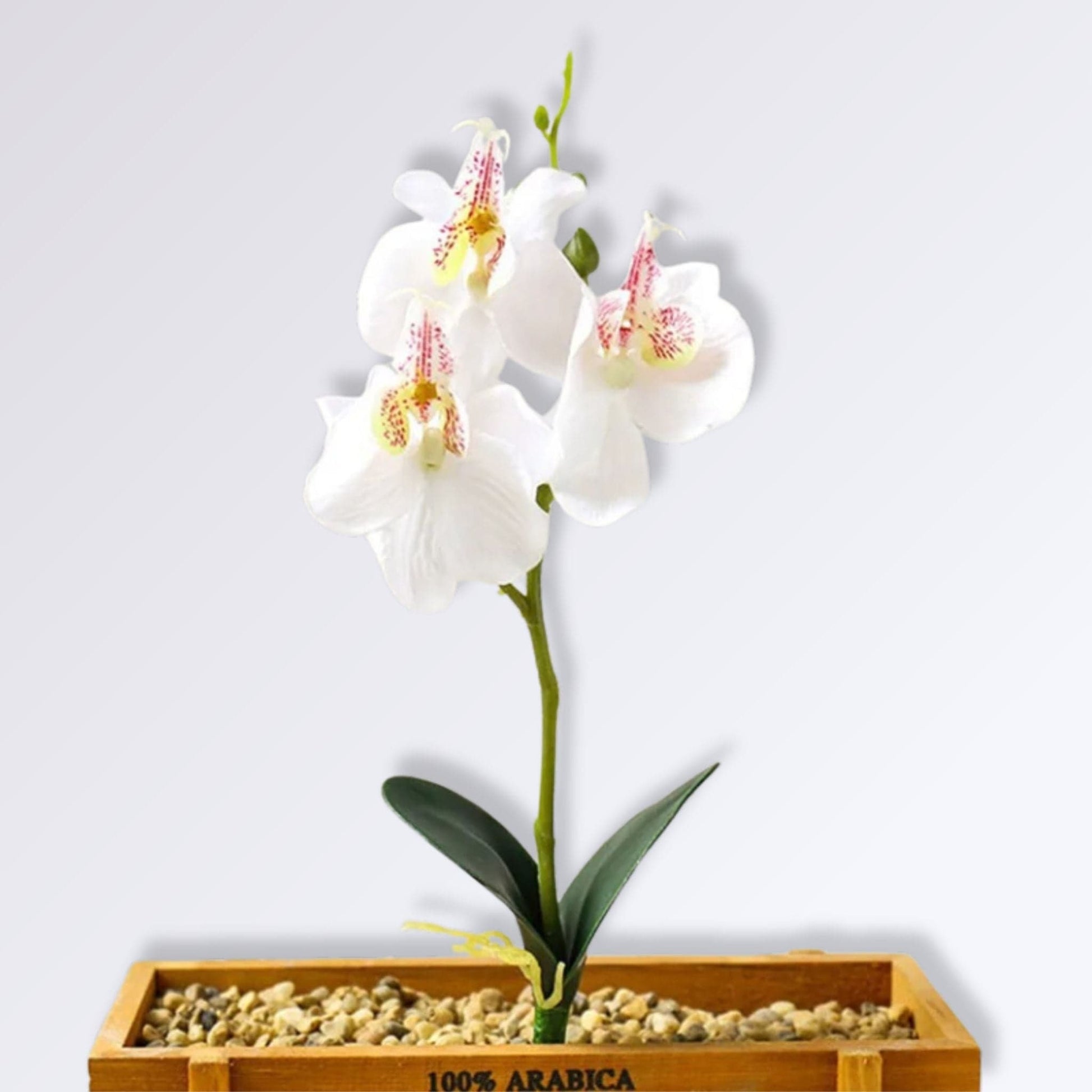 Branche d'Orchidée Artificielle Couleur Blanc