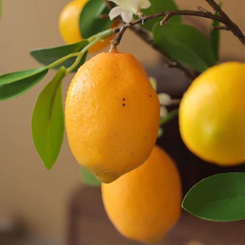 Branches de Citronnier Artificielles