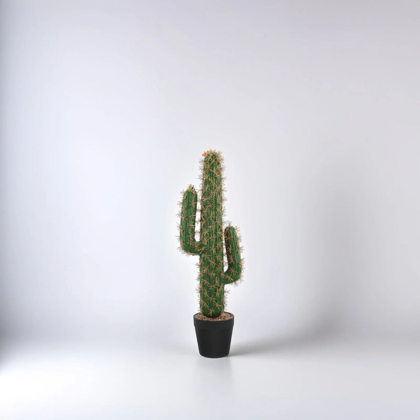 Cactus Artificiel Mexico en Pot