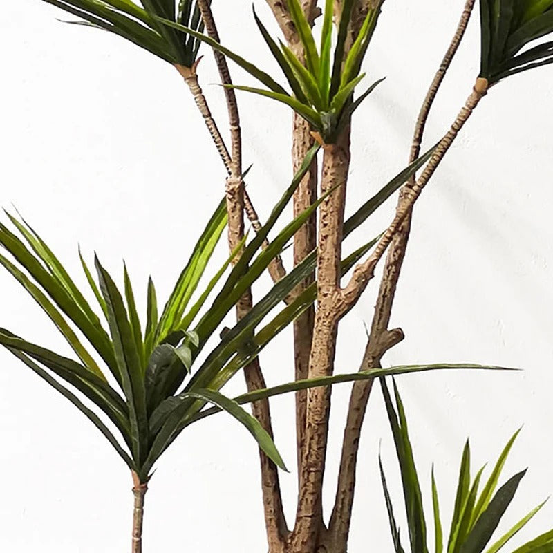 Dracaena Artificiel