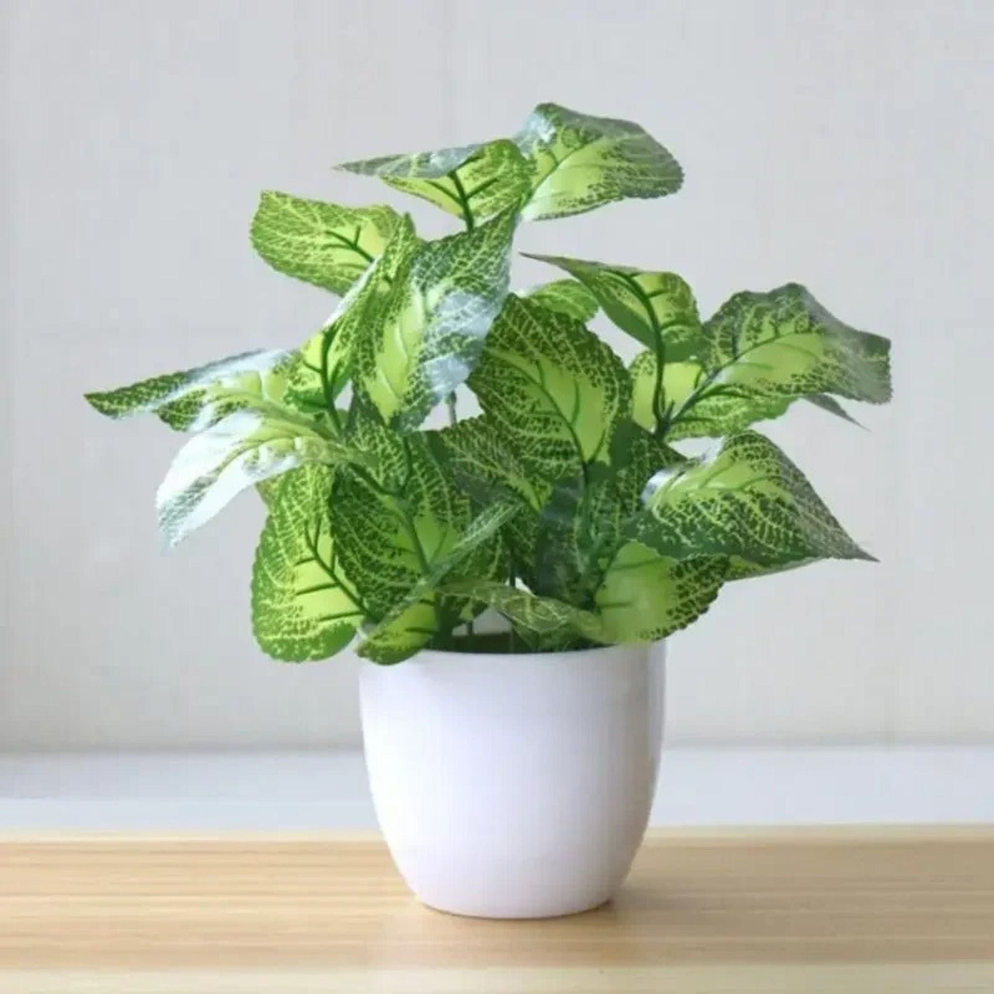 Fausse Petite Plante en Pot