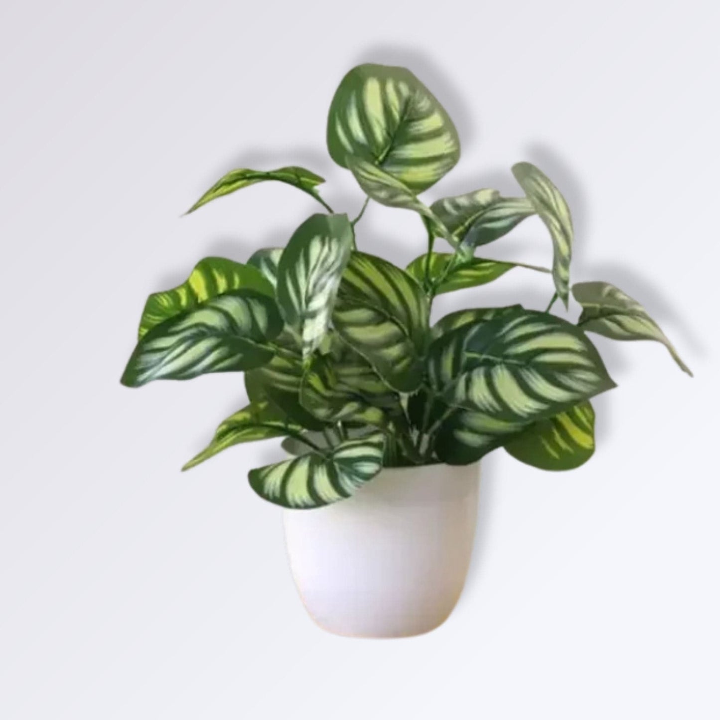 Fausse Petite Plante en Pot | pastèque