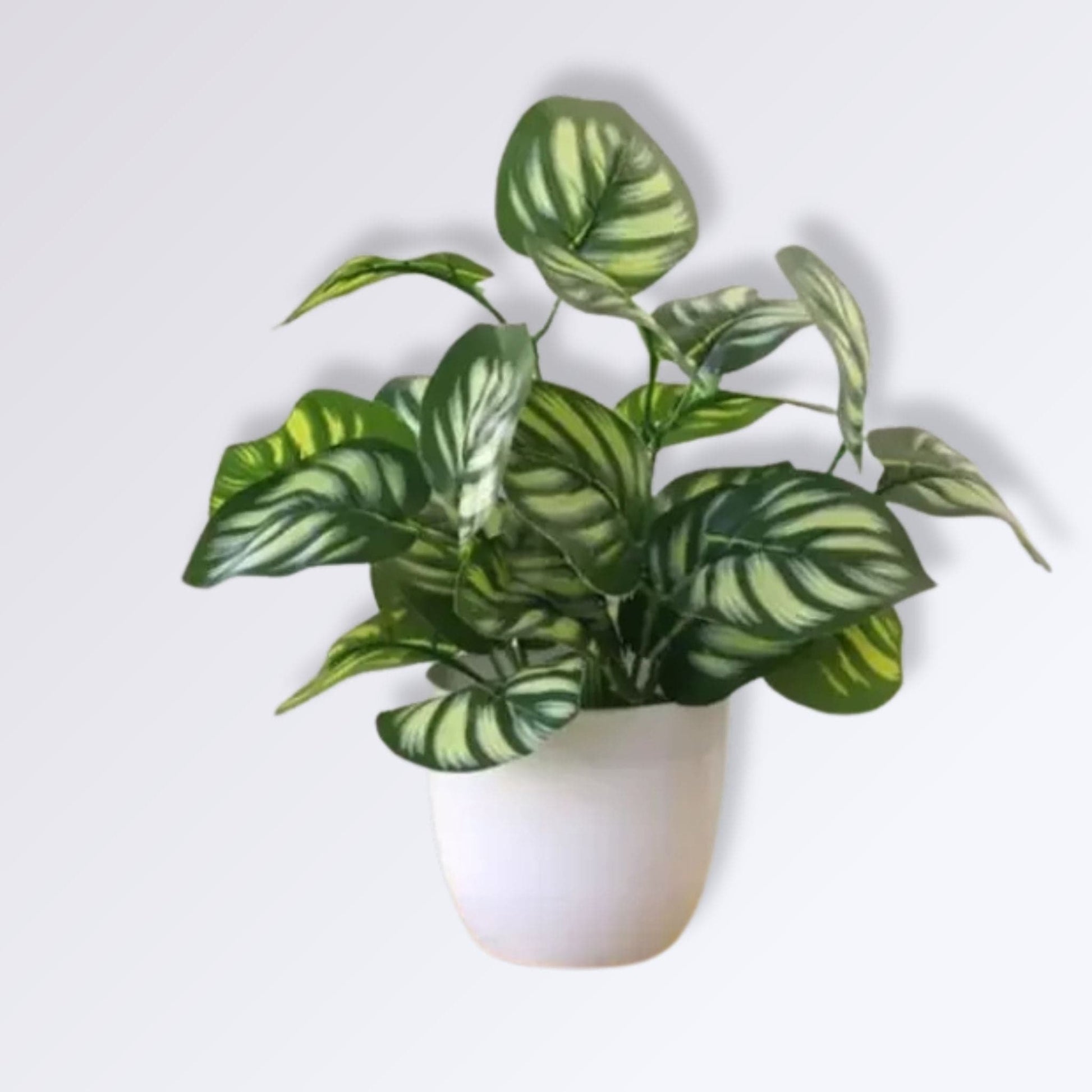 Fausse Petite Plante en Pot | pastèque