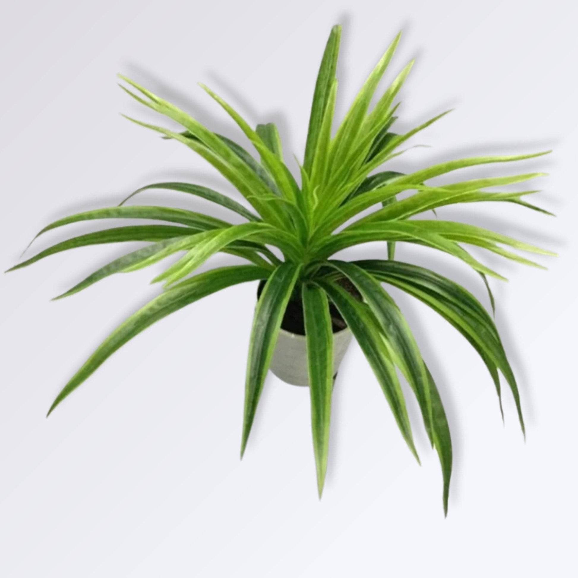 Fausse Plante Décorative d'Intérieur | Vert