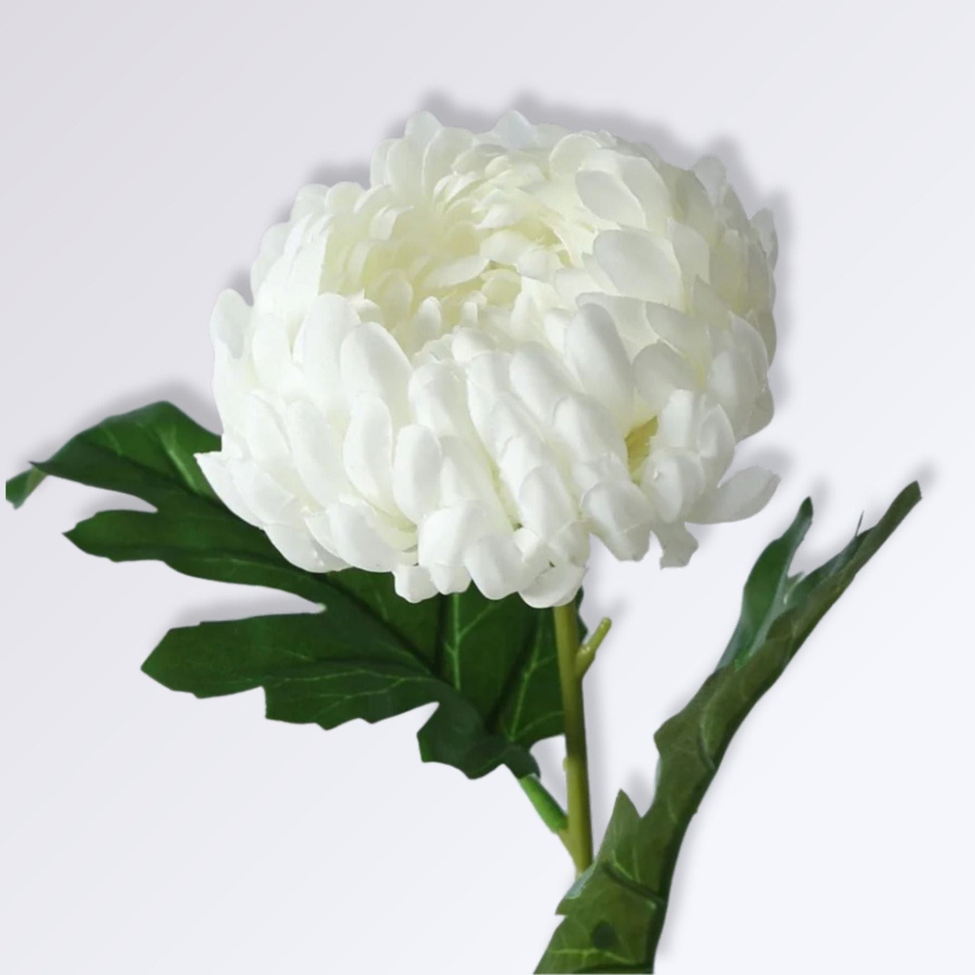 Fleur Artificielle de Chrysanthème | 50cm Blanc